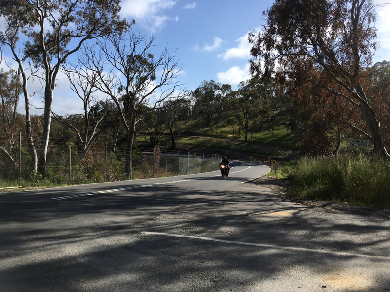 Illustration for article titled BMW 635CSi. Adelaide Hills. Springtime. Goodtime.